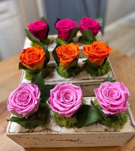 Blooming Roses in Sugar Mold 1 and 3 Hole - Click Image to Close